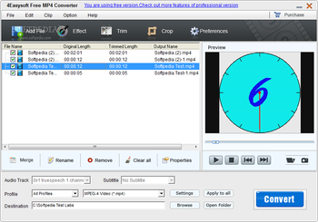 4Easysoft Free MP4 Converter screenshot