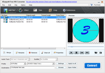 4Easysoft Free Wii Converter screenshot