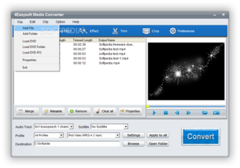 4Easysoft Media Converter screenshot 2