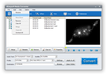 4Easysoft Media Converter screenshot 3