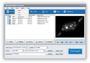 4Easysoft Media Converter screenshot 4