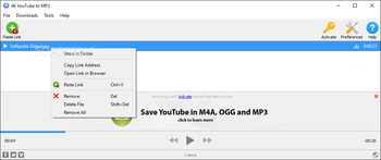 4K YouTube to MP3 screenshot