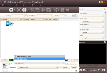 4Media Blu-ray to MKV Converter screenshot 2
