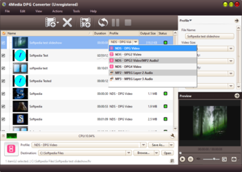 4Media DPG Converter screenshot 2