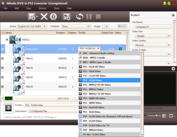 4Media DVD to PS3 Converter screenshot 2