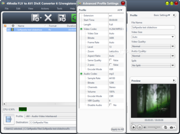 4Media FLV to AVI DivX Converter screenshot 4