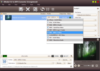 4Media FLV to MP4 Converter screenshot