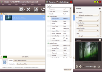 4Media FLV to MP4 Converter screenshot 4