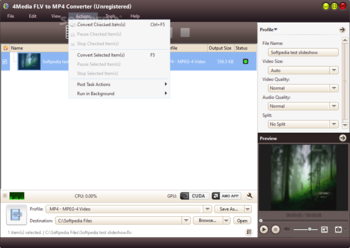 4Media FLV to MP4 Converter screenshot 5