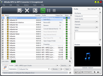 4Media MP4 to MP3 Converter screenshot