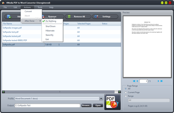 4Media PDF to Word Converter screenshot 2