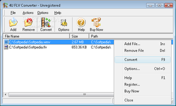 4U FLV Converter screenshot