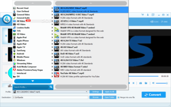 4Videosoft 4K Video Converter screenshot 2