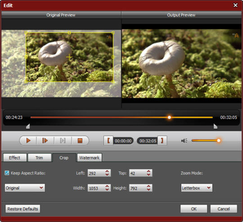 4Videosoft AMV Media Converter screenshot