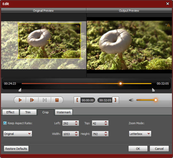 4Videosoft AVC Converter screenshot 3