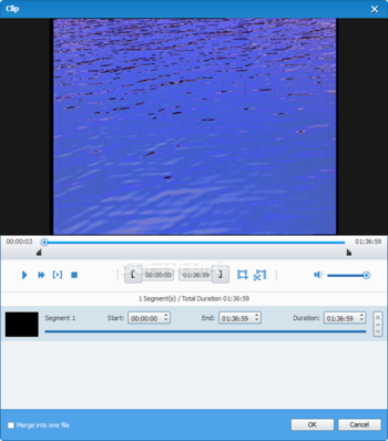 4Videosoft DVD Converter Suite screenshot 6