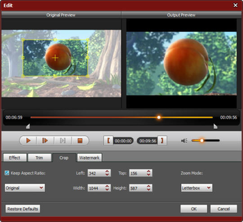 4Videosoft Palm Video Converter screenshot 4