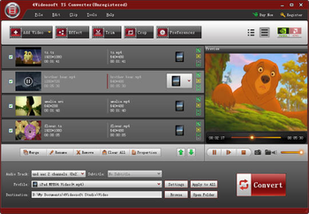 4Videosoft TS Converter screenshot