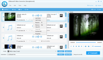 4Videosoft Video Converter screenshot