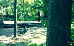 A Date in the Park screenshot 11