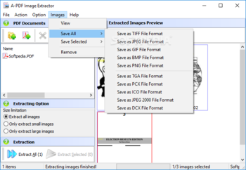 A-PDF Image Extractor screenshot 5