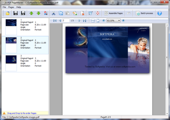A-PDF PageMaster screenshot
