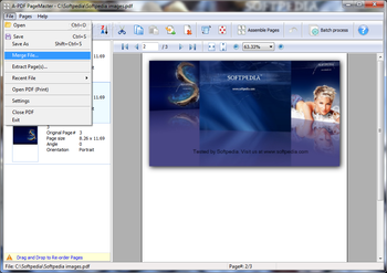 A-PDF PageMaster screenshot 3