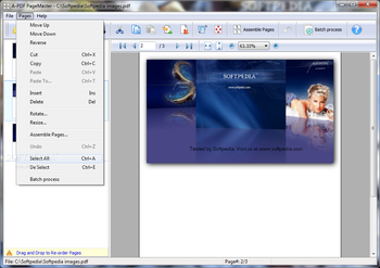 A-PDF PageMaster screenshot 4
