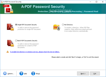 A-PDF Password Security screenshot