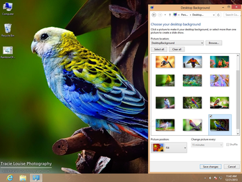 A Rainbow of Birds Theme screenshot