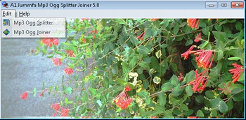 A1 Jummfa Mp3 Ogg Splitter Joiner screenshot