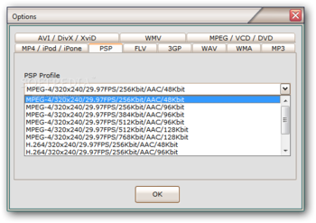 A4 DVD Ripper screenshot 8