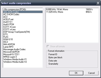 AAC ACM Codec screenshot