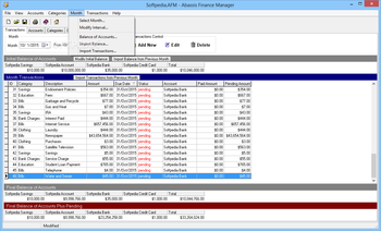Abassis Finance Manager screenshot 8