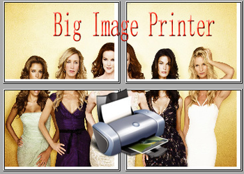 Abonsoft Big Image Printer screenshot 3