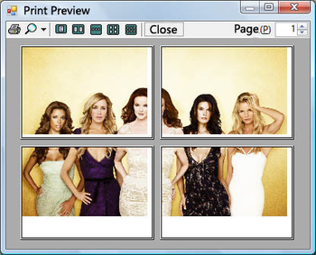 Abonsoft Big Image Printer screenshot 4