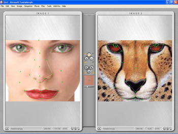 Abrosoft FantaMorph screenshot 3