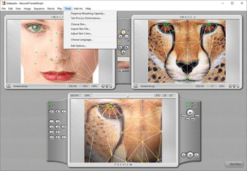 Abrosoft FantaMorph Deluxe Edition screenshot 9
