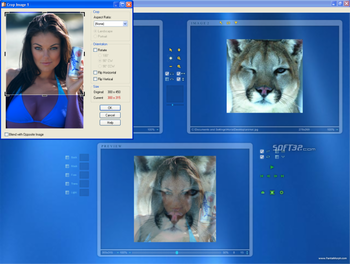 Abrosoft FantaMorph Pro screenshot 4