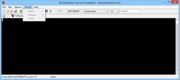 AbsoluteTelnet screenshot 4