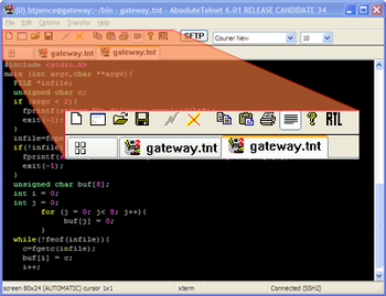 AbsoluteTelnet Telnet / SSH Client screenshot