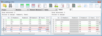 AccdbMerge screenshot 10