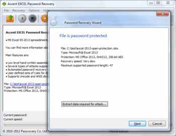 Accent Excel Password Recovery screenshot