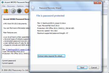 Accent Word Password Recovery screenshot