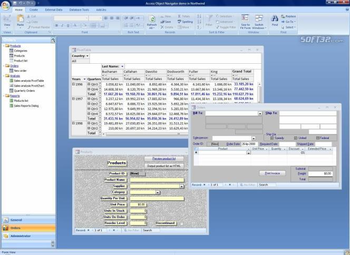 Access Object Navigator screenshot 2