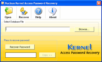 Access Password Recovery PROFESSIONAL screenshot 2