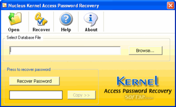 Access Password Recovery PROFESSIONAL screenshot 3