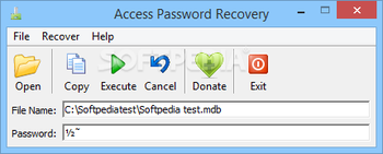 Access Password Recovery screenshot