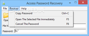 Access Password Recovery screenshot 2