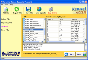 Access Repair Tool screenshot 2